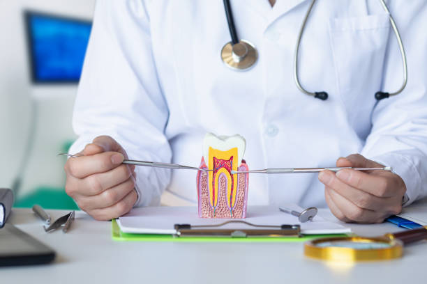 Best Emergency Root Canal Treatment in Wadesboro, NC